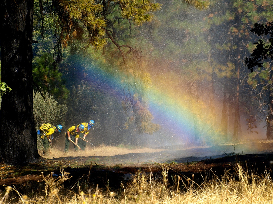 fire fighters