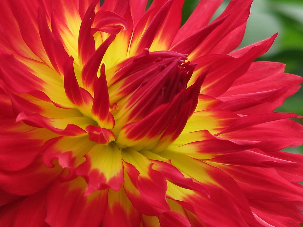 Firestorm
