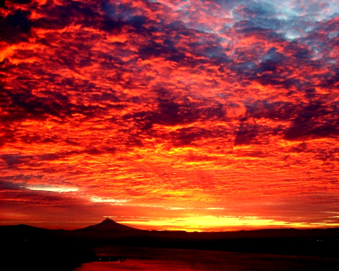 First light 2