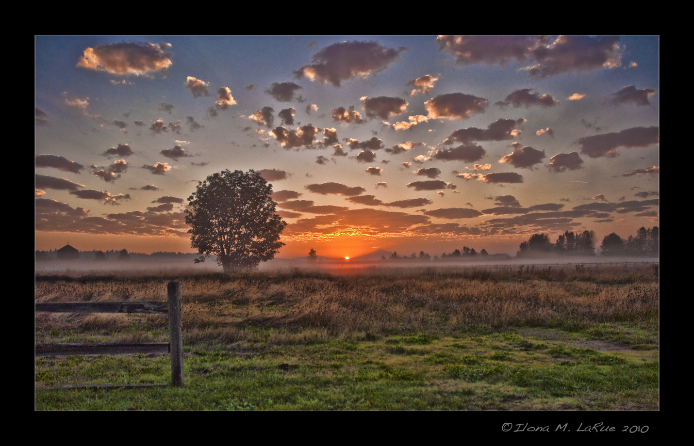 First Light