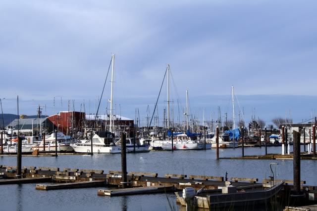 Fishing Boats at Garibaldi, Oregon