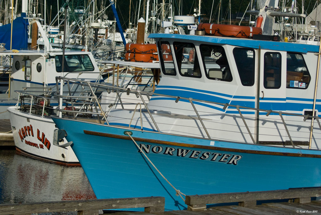 Fishing Fleet