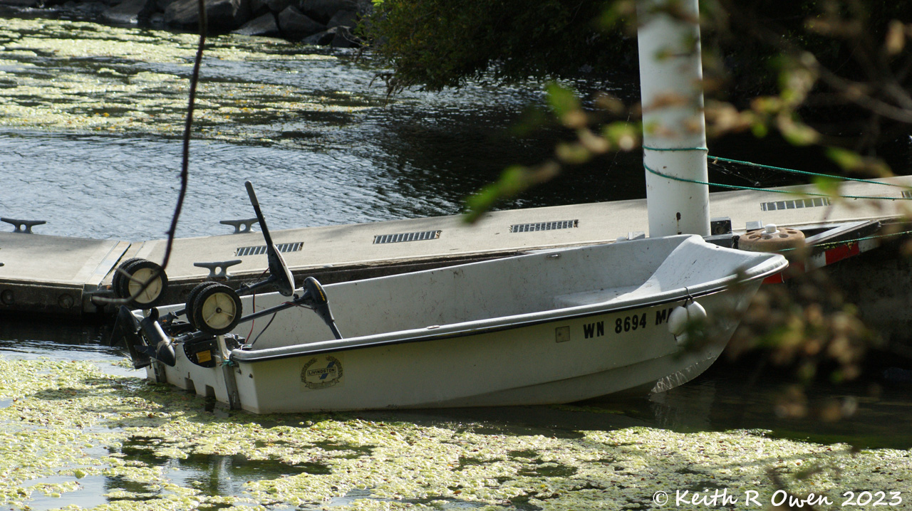 Fishing Skiff