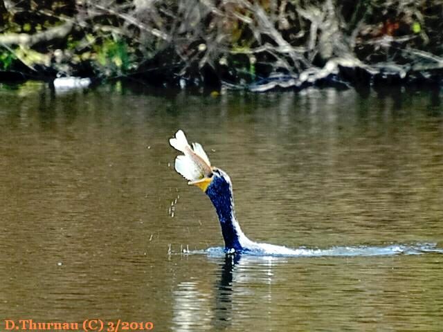 fishing