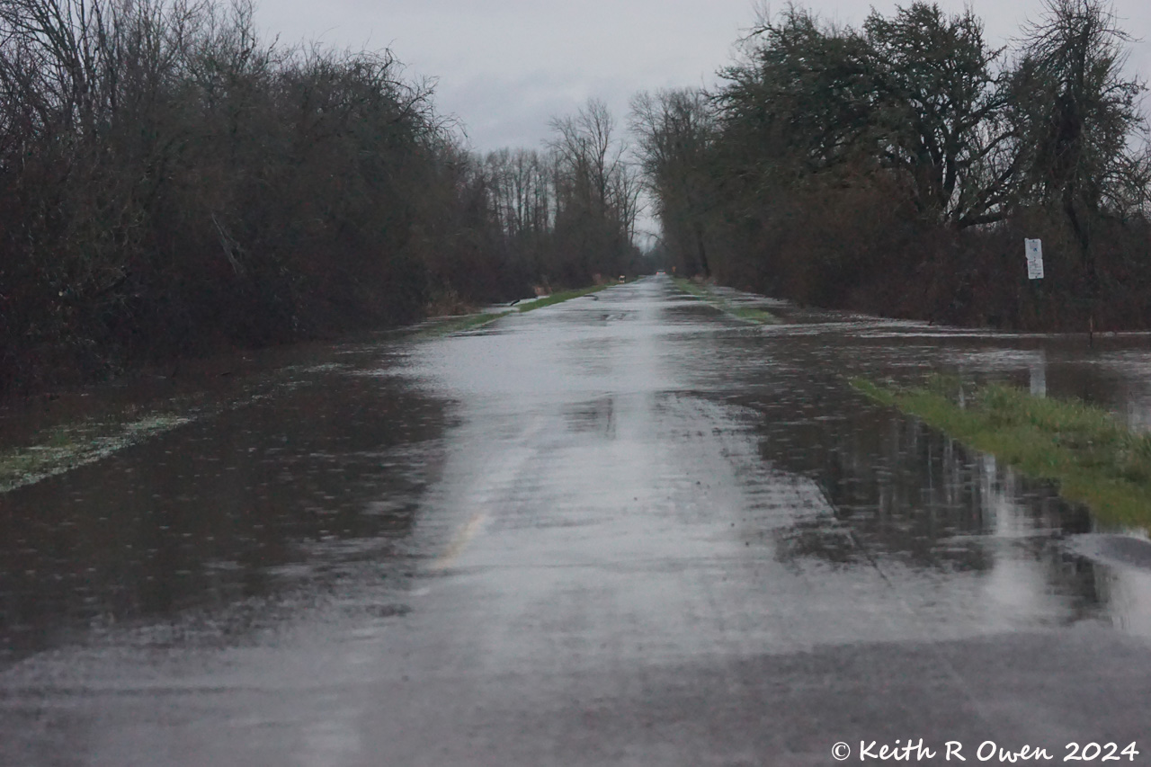 Flooded Road
