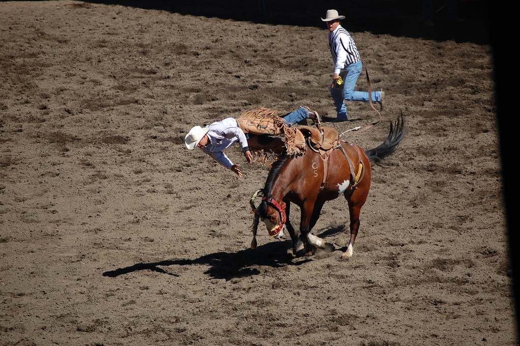 Flying Cowboy
