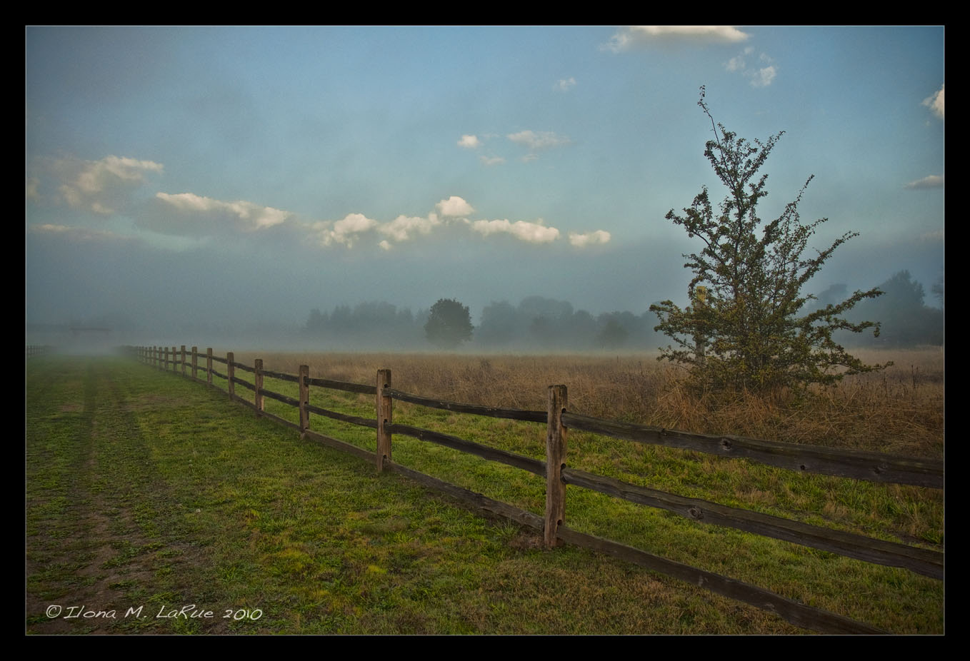 Fog Rolling