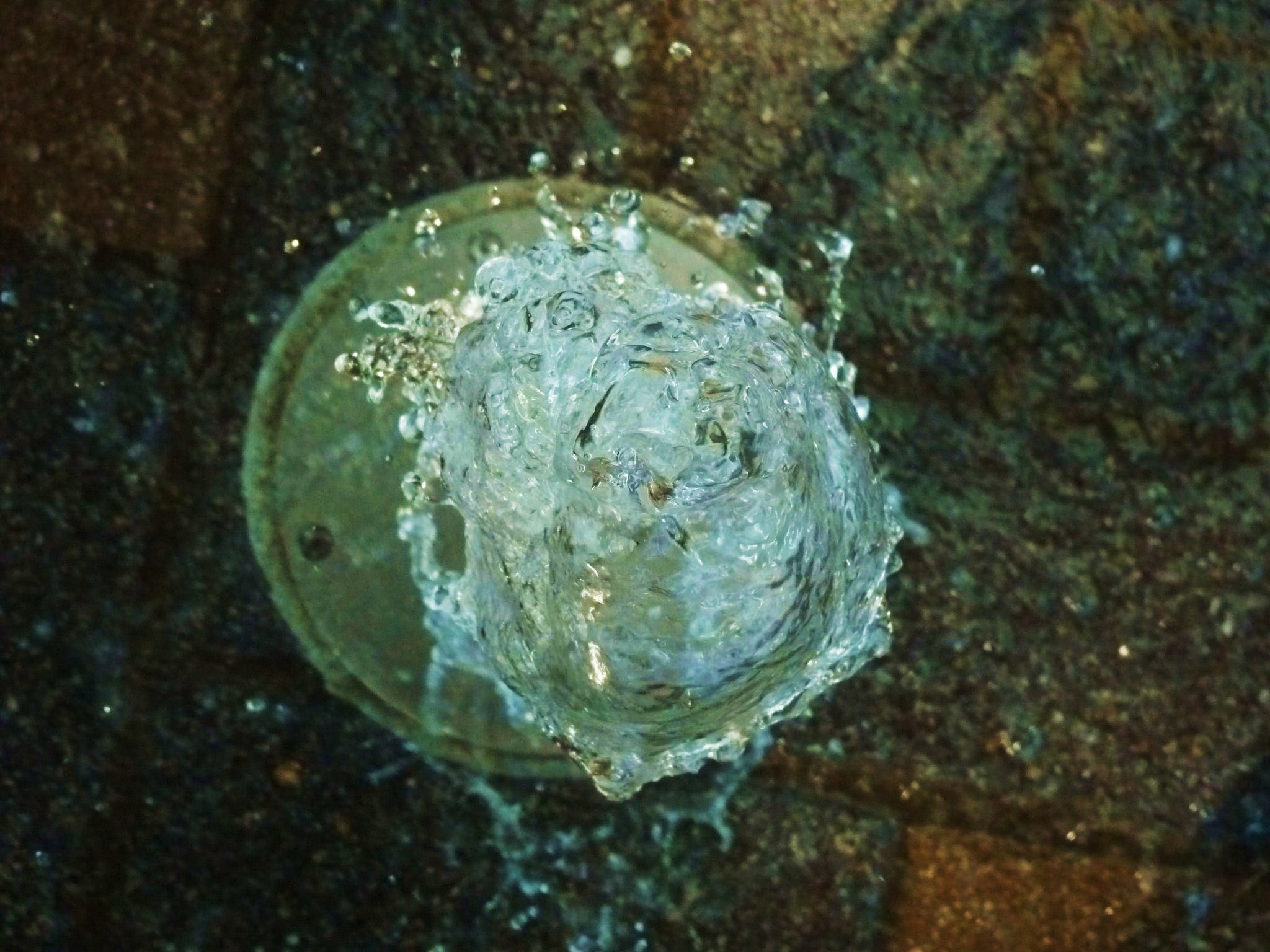 Fountain