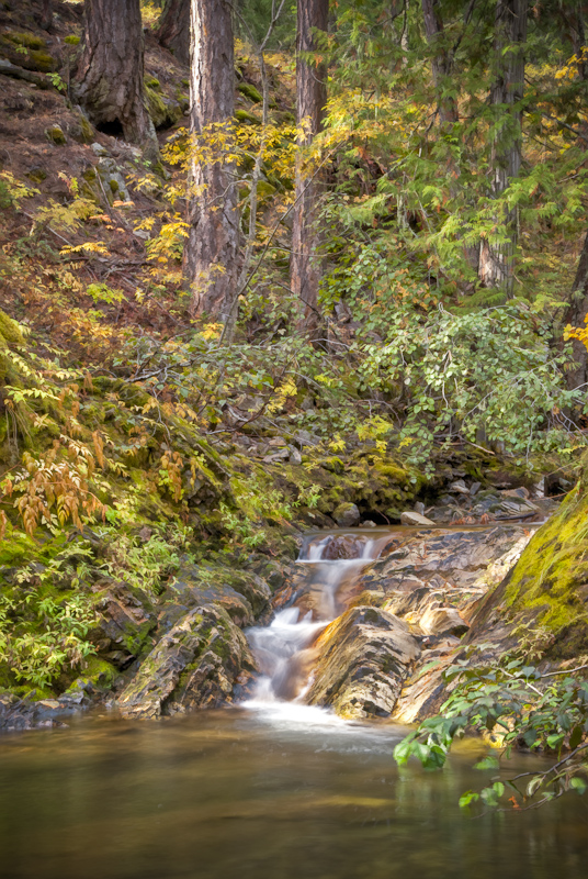 French Cabin Creek