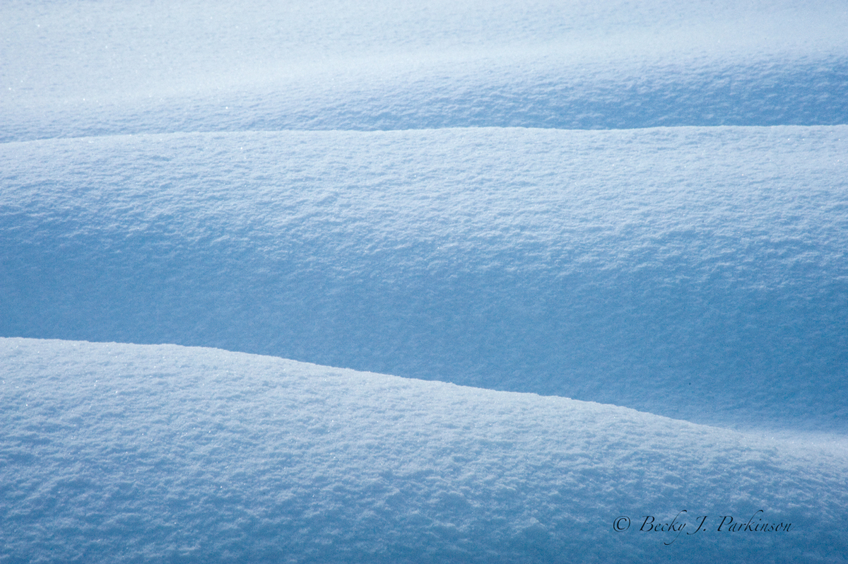 Fresh Snow
