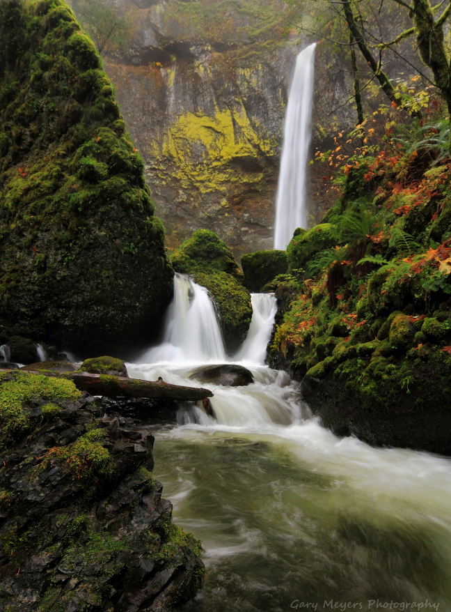 Friday at Elowah Falls