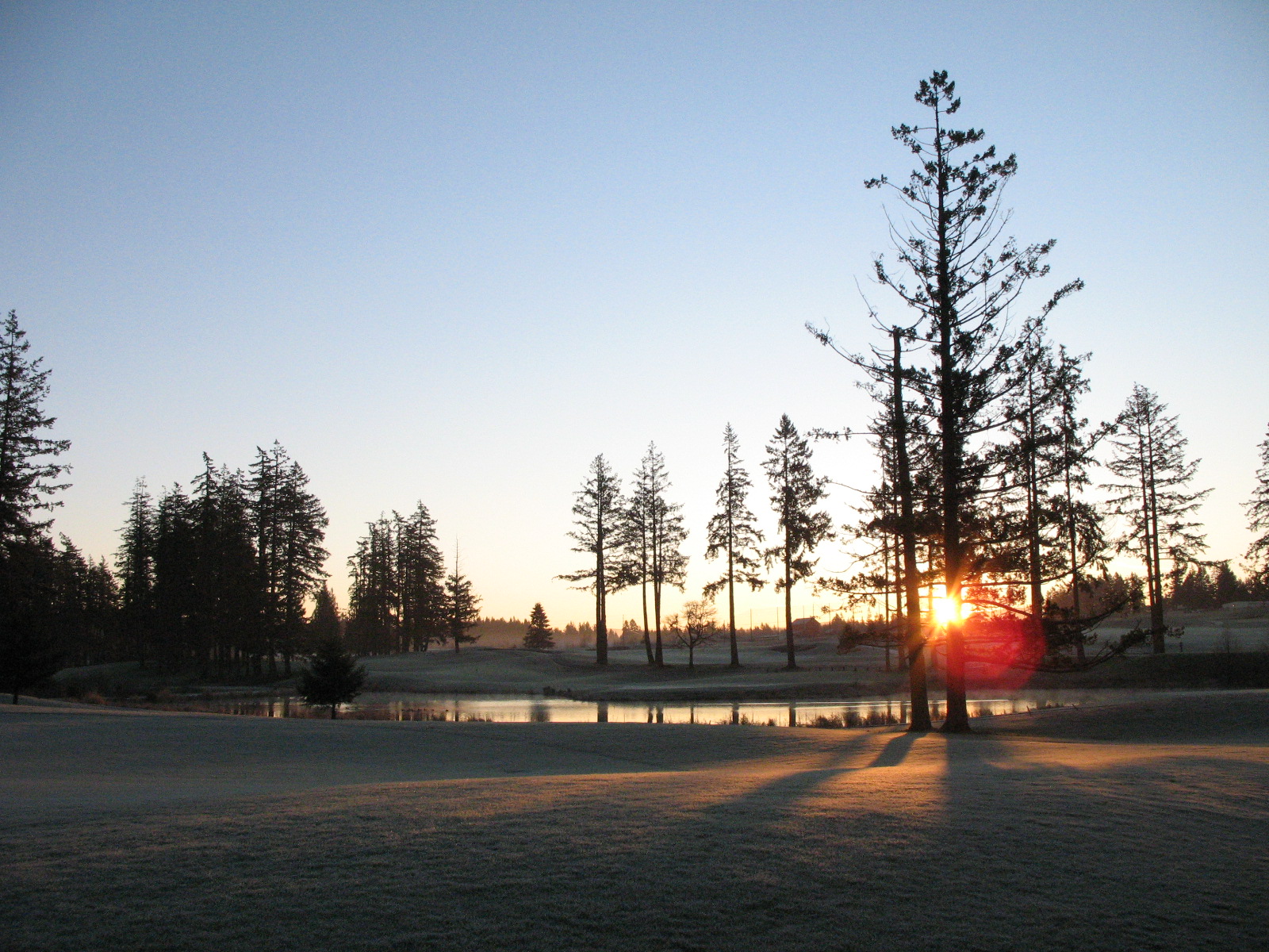 Frosty Morning