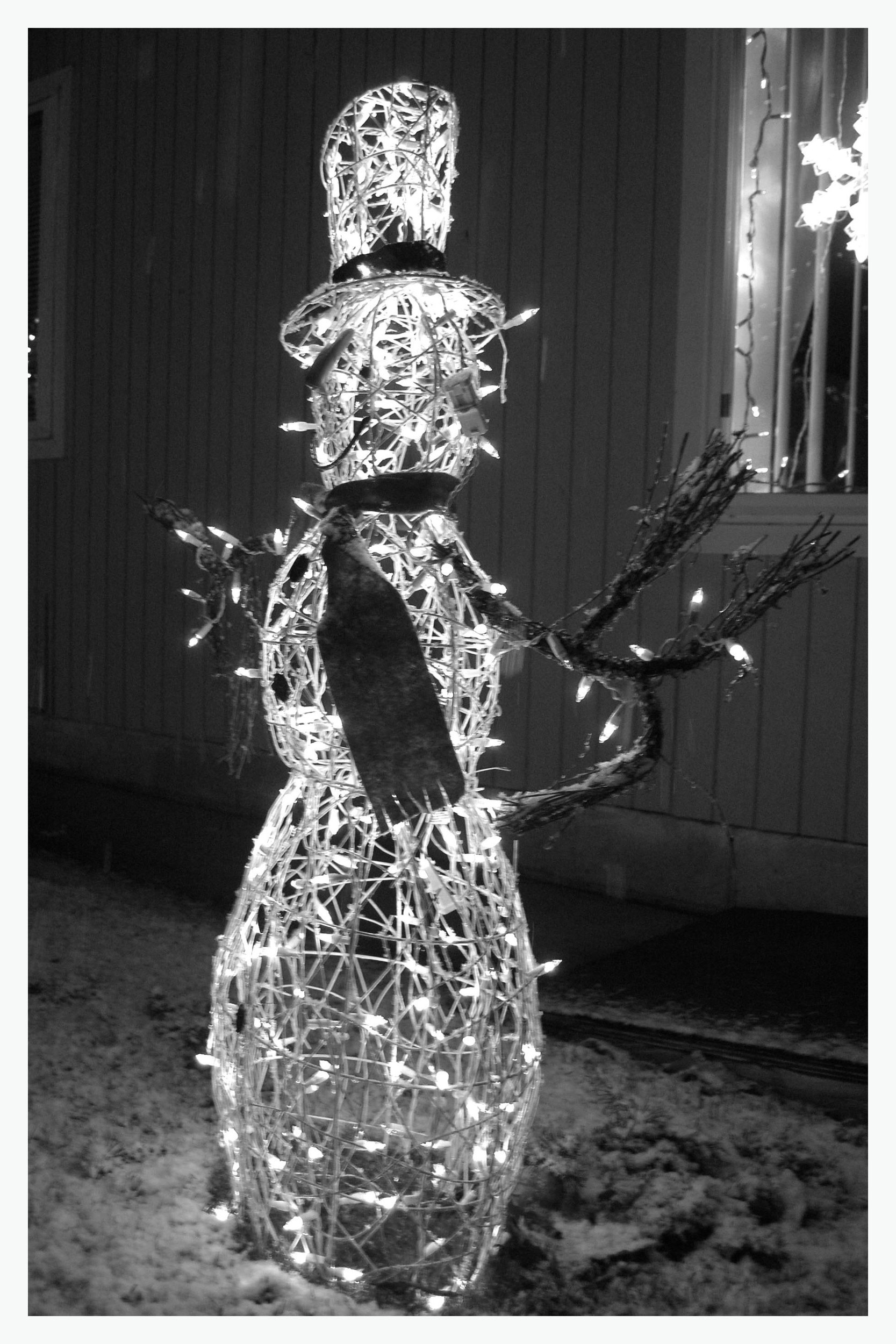Frosty1