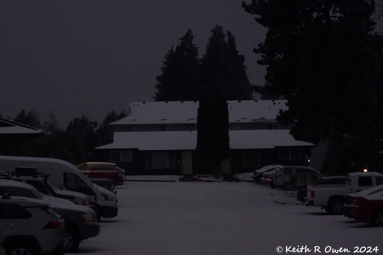 Frozen Cars & Parking Lot
