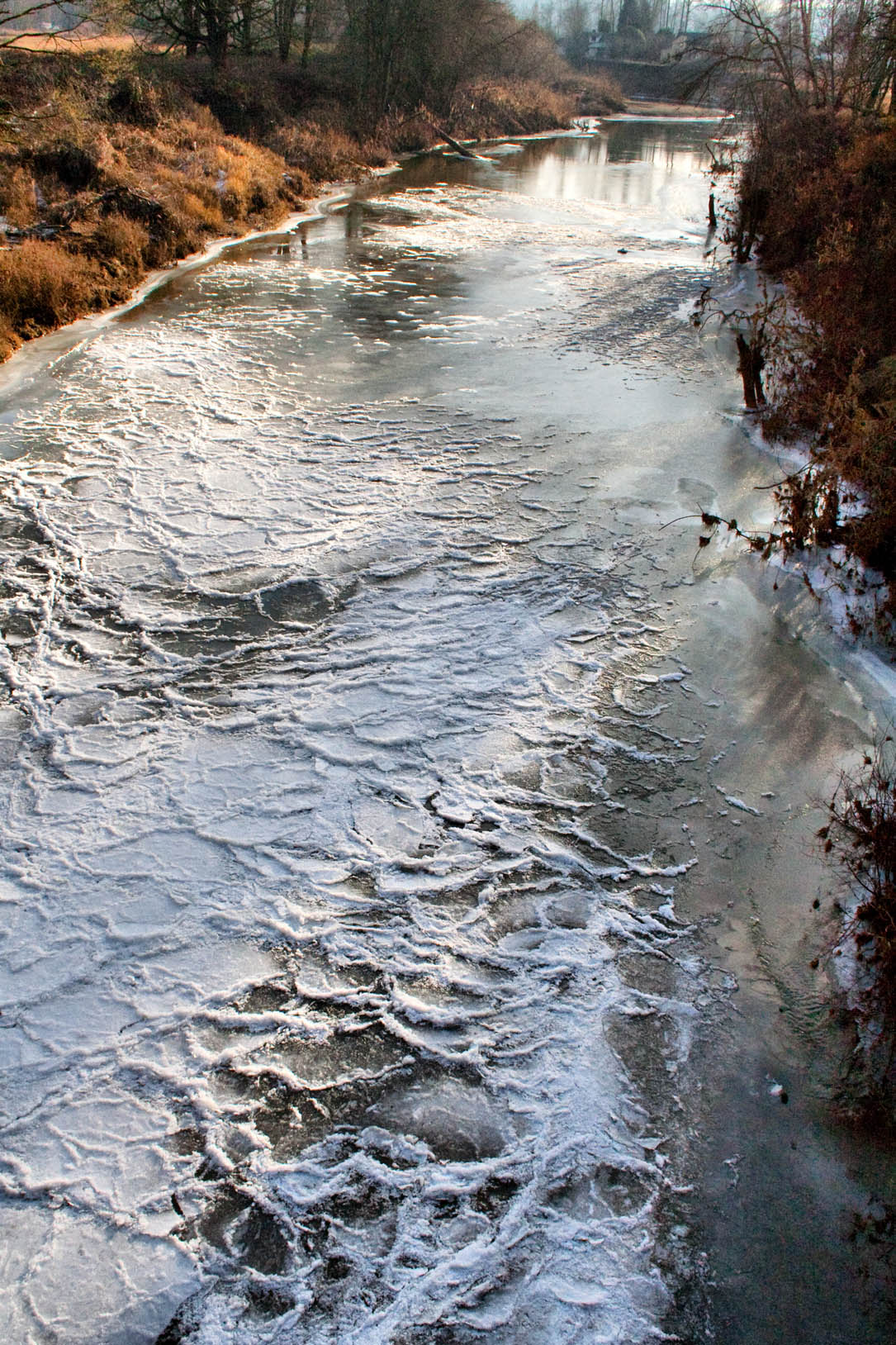 Frozen