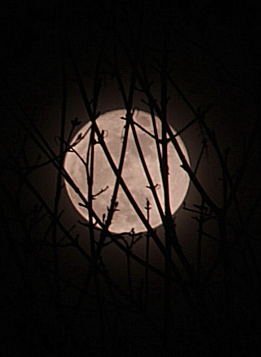 Full Moon 3/19/11