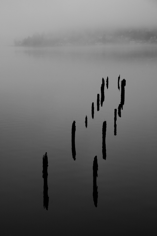 Ghosts in the mist
