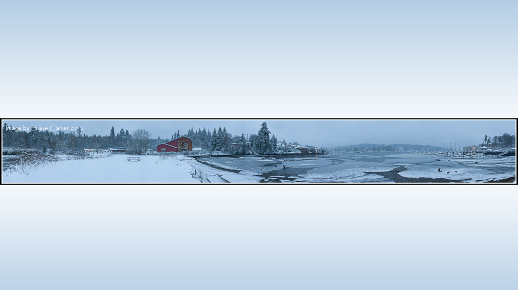 Gig Harbor Winter