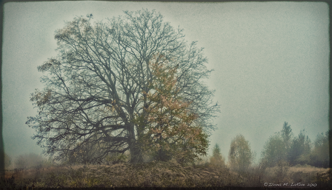 Gloomy Days Are Here Again