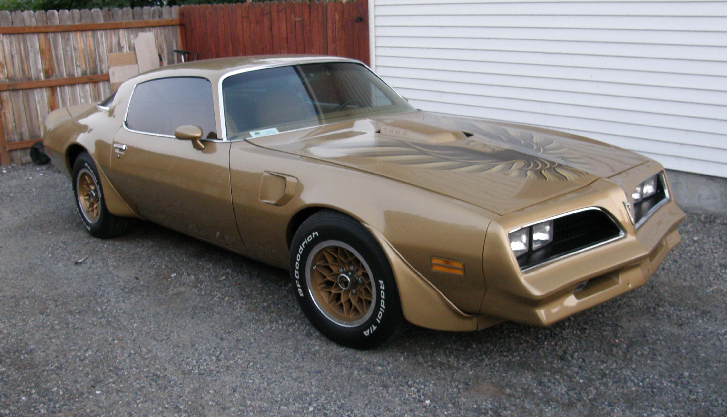 Gold Firebird