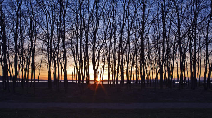 Golden Gardens Park