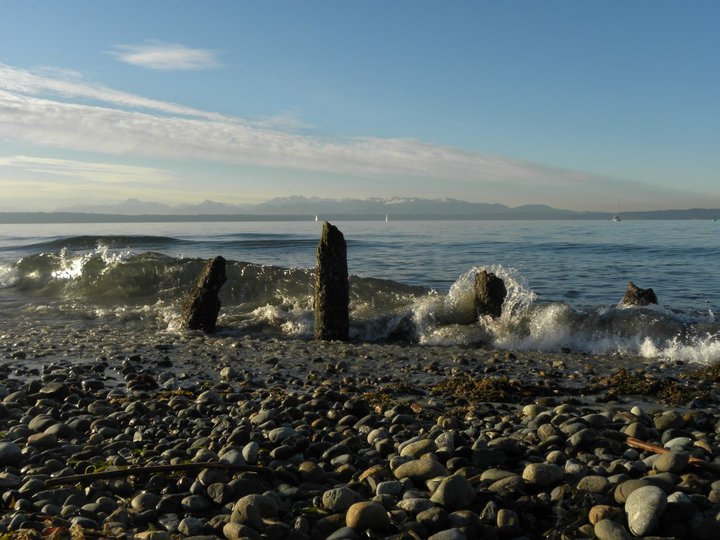 Golden Gardens Park