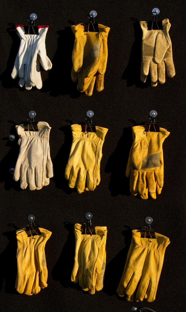 Golden Gloves