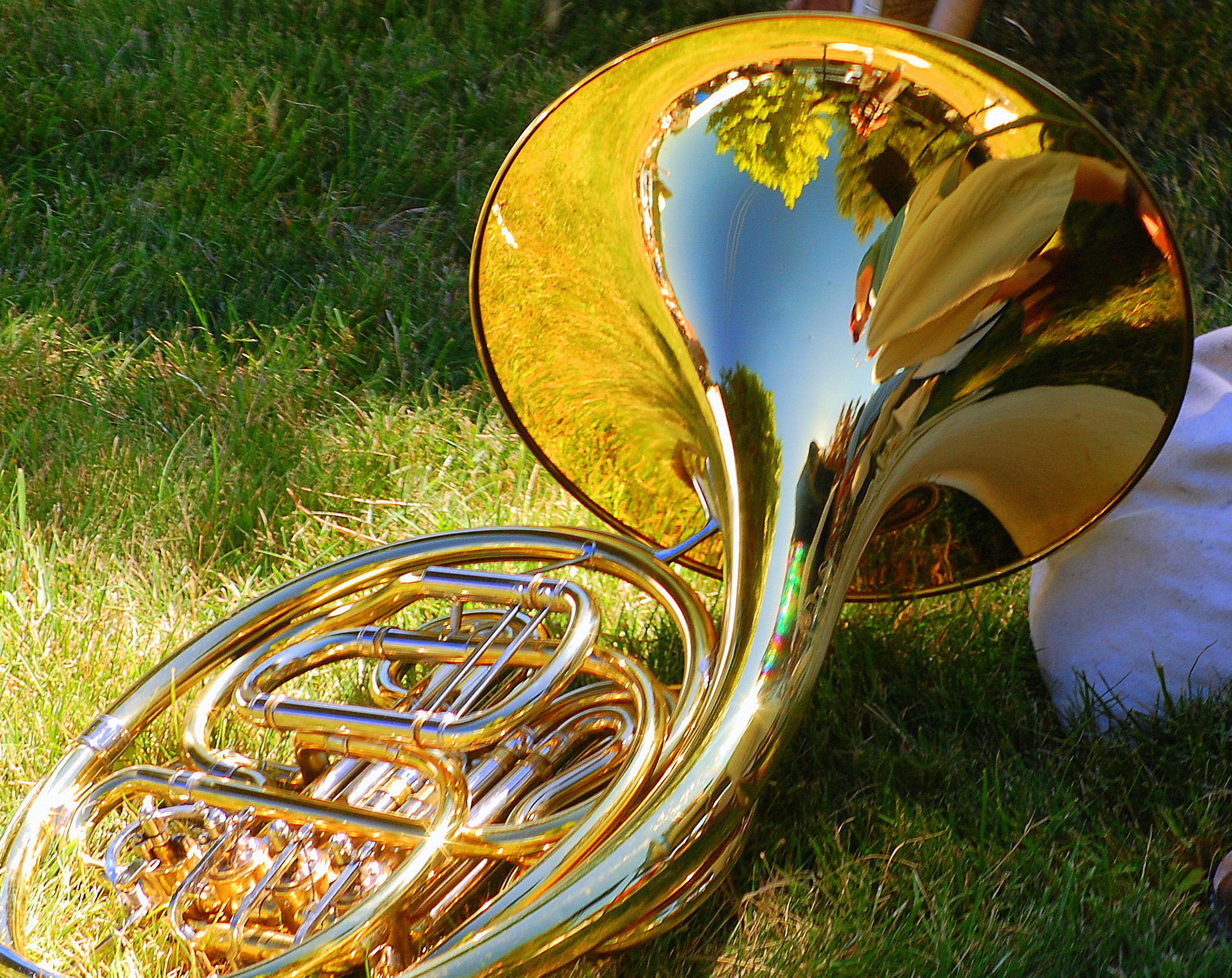 Golden Reflections