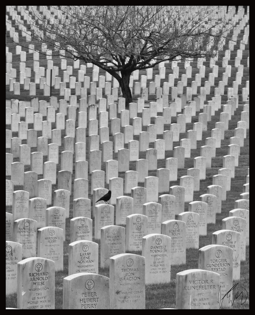 Gone but not forgotten