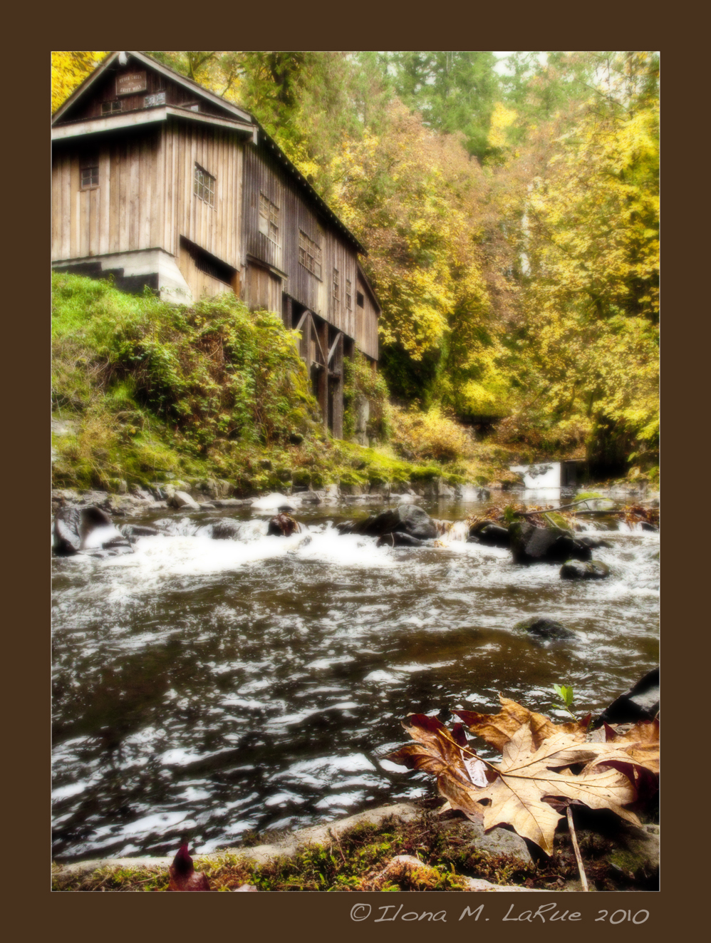 Gris Mill