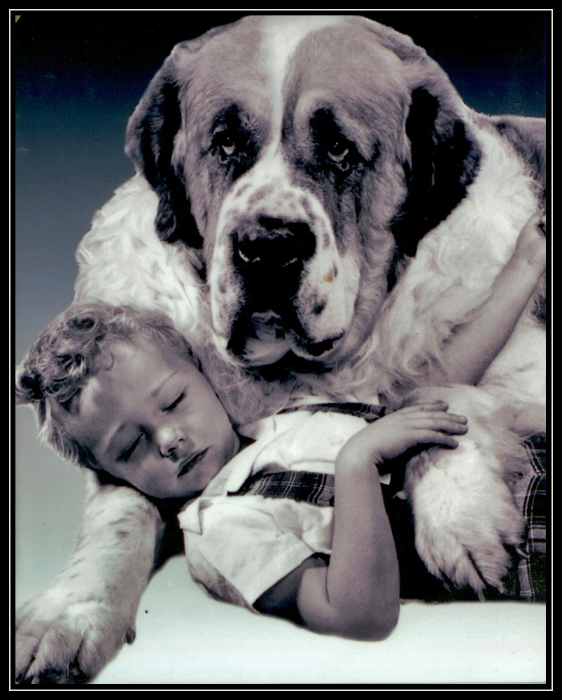 Guarding the Prince