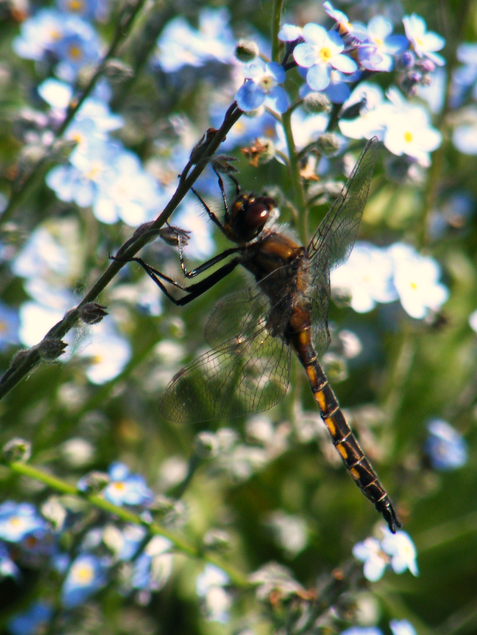 hanging around