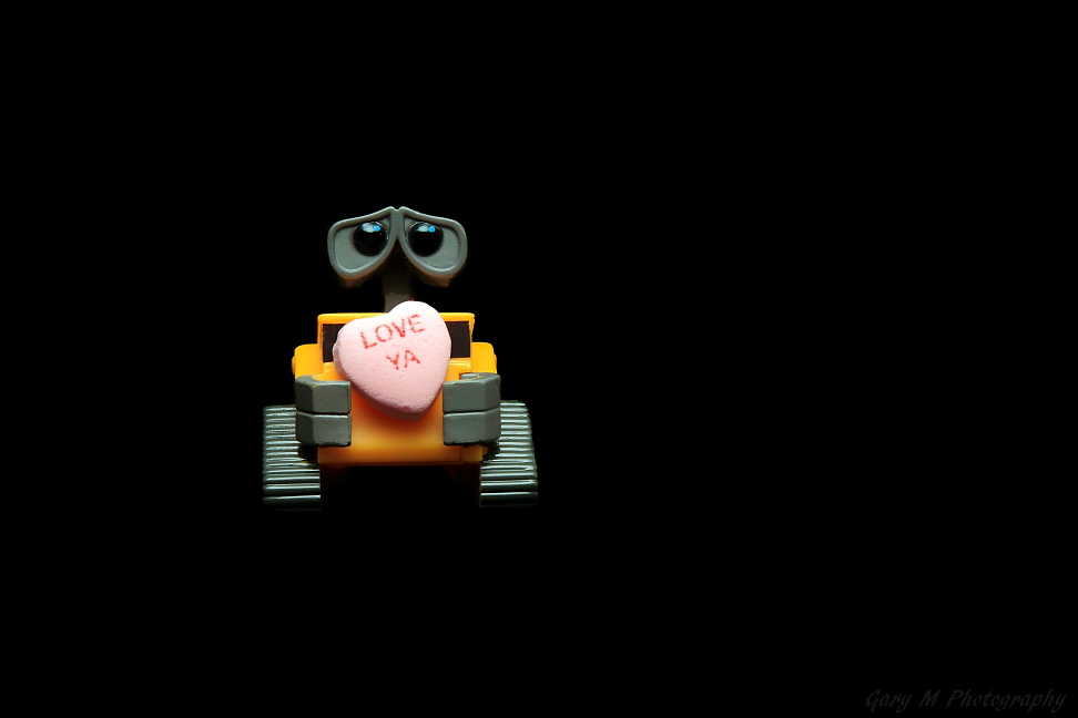 Happy Valentine's Day Everybody!