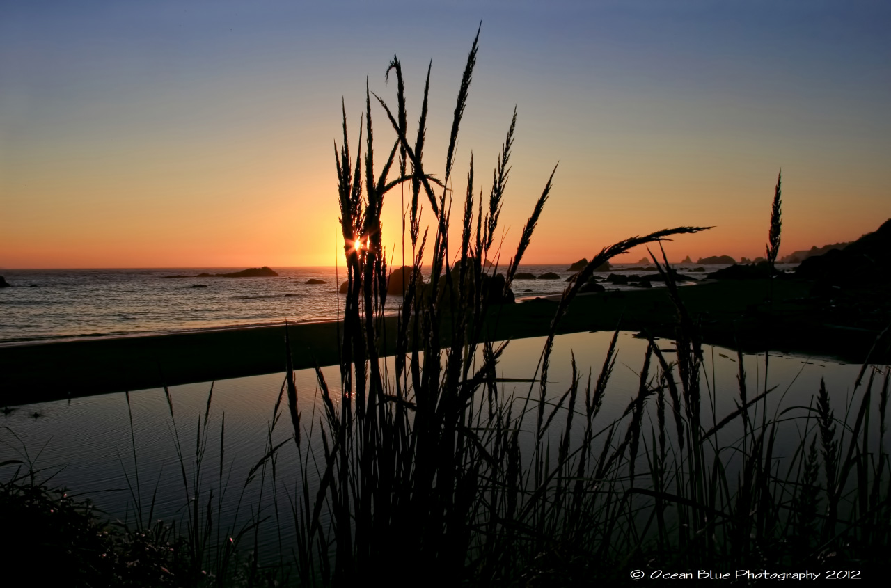 Harris Beach