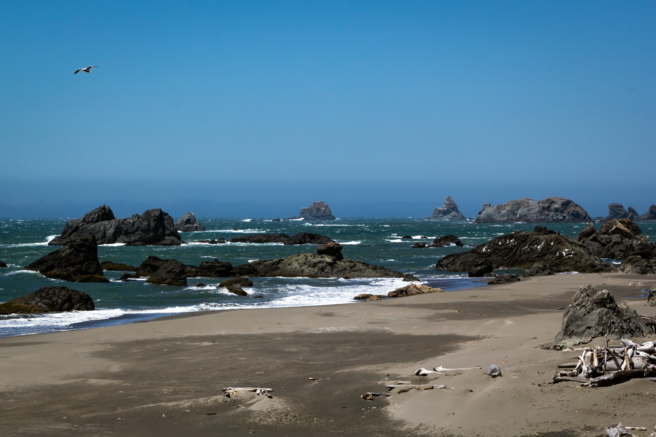 Harris Beach