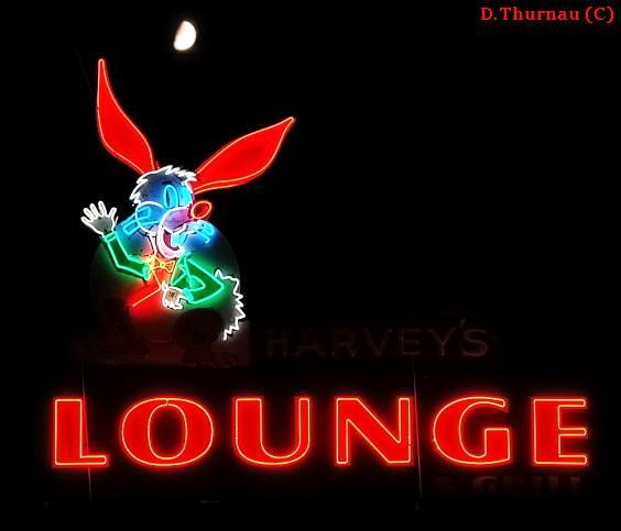 harvey