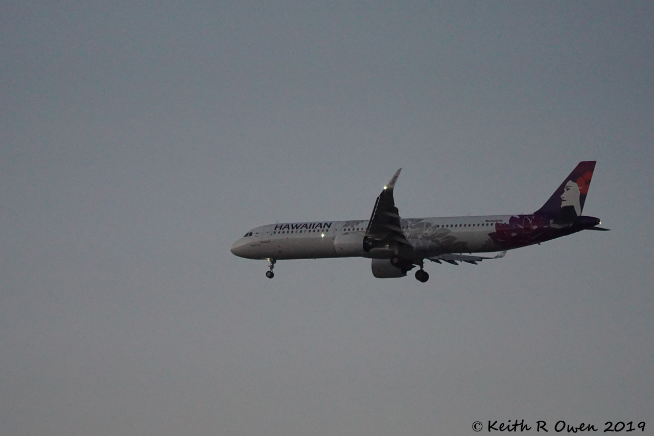 Hawaiian Airlines