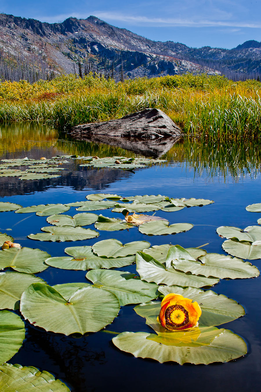 Hazard Creek, McCall, ID