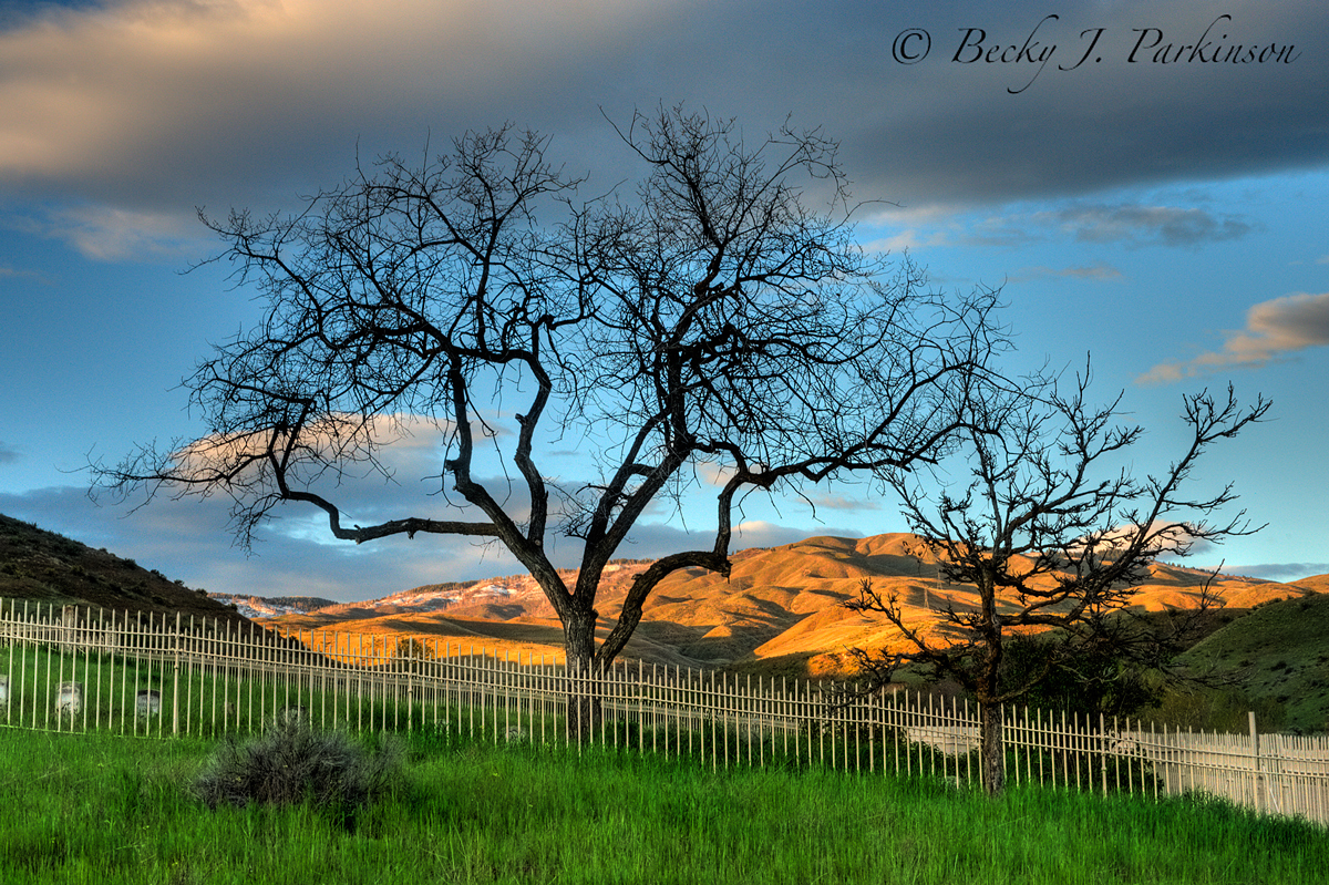 Historic Military Cemetery - Boise