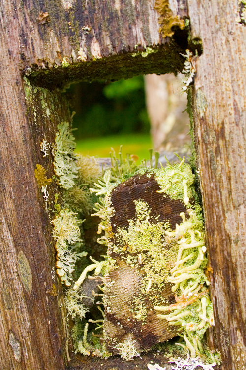 Hole in the Wall