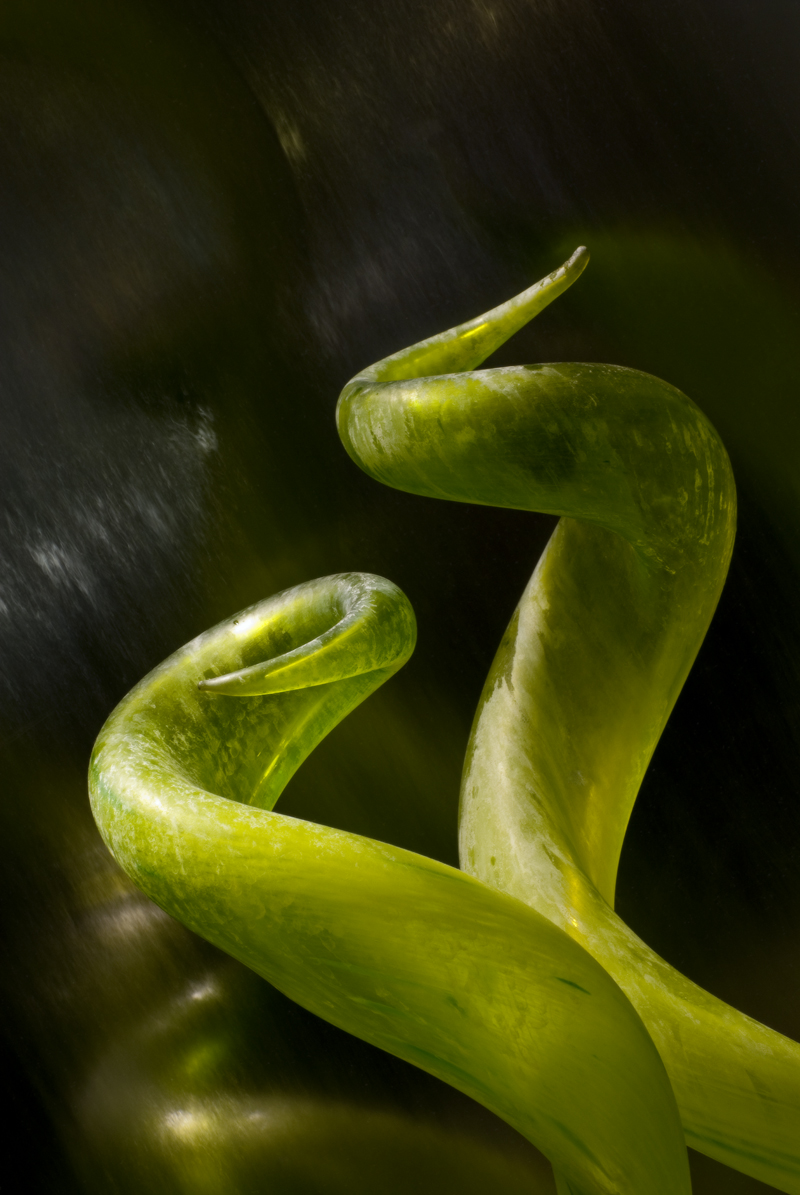 Homage:  Dale Chihuly 1