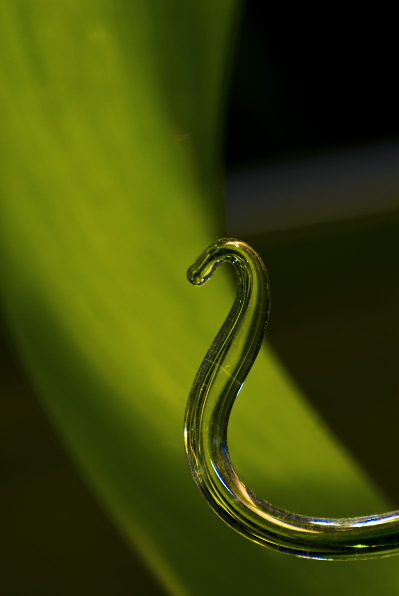 Homage:  Dale Chihuly 3
