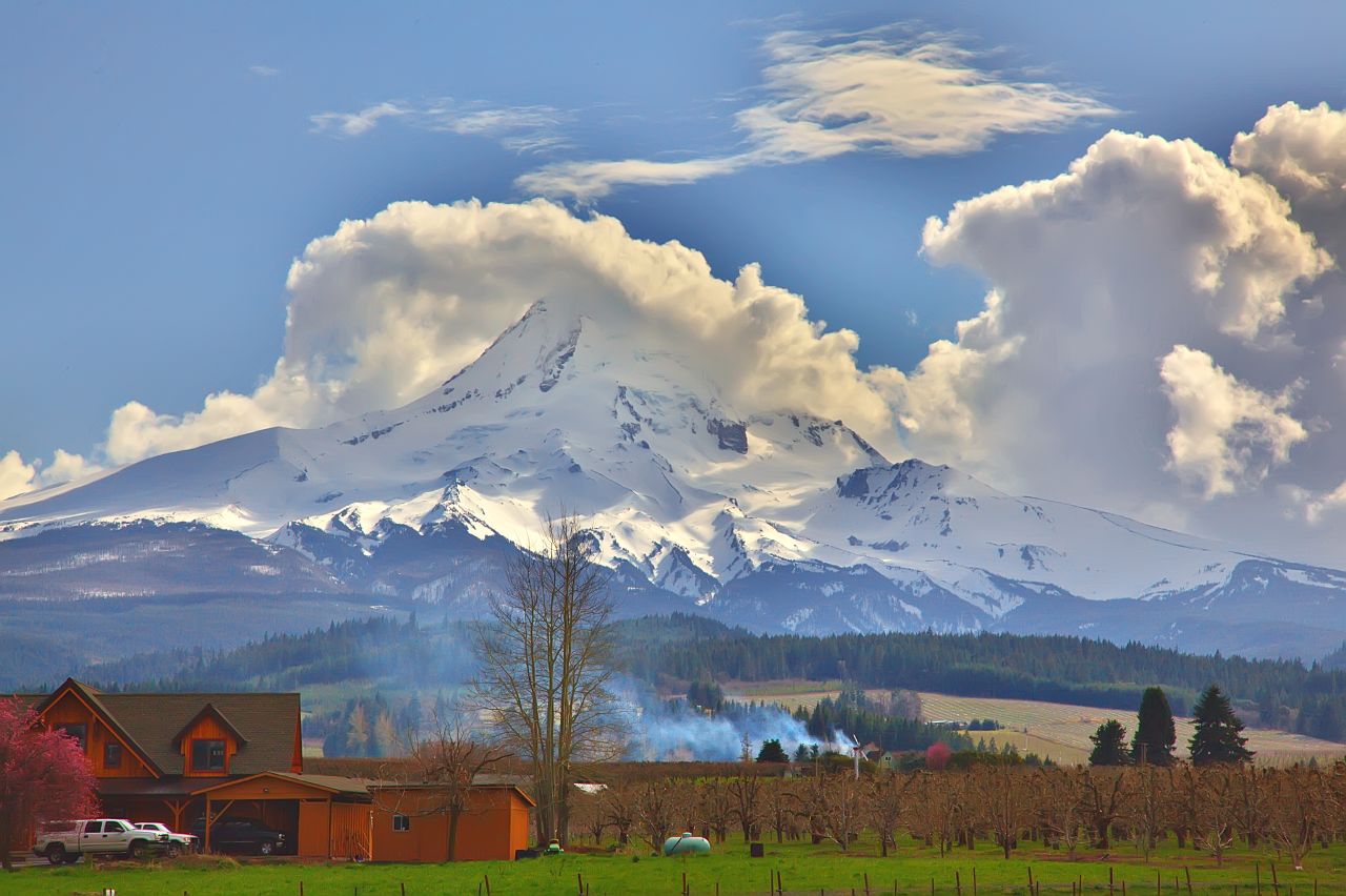 Home with a view
