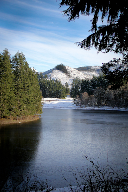Horseshoe Lake, Washington