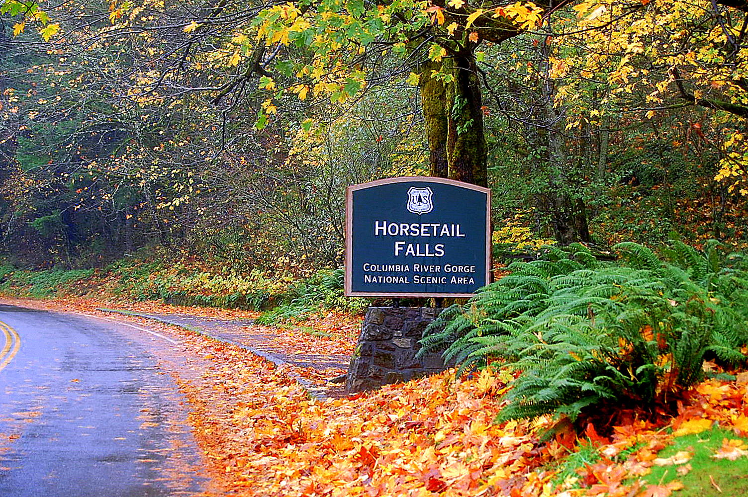 Horsetail Falls