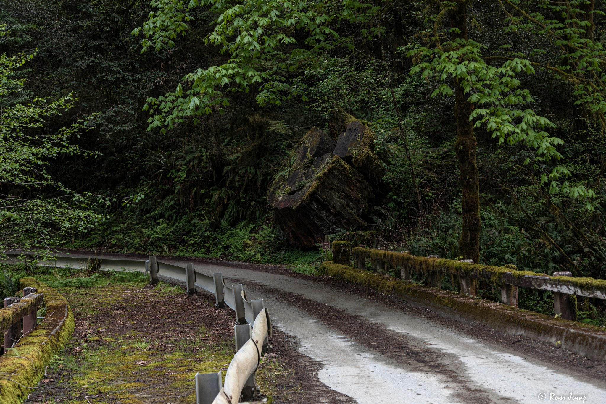 Howland Hill Rd Crescent City, Ca.