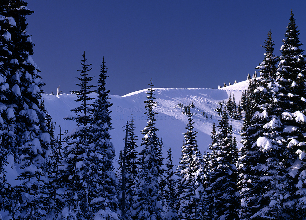 Hurricane Ridge #2