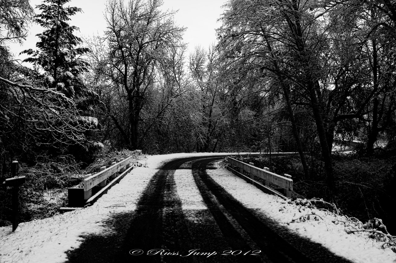 I was on a B&W kick today 3-13-2012