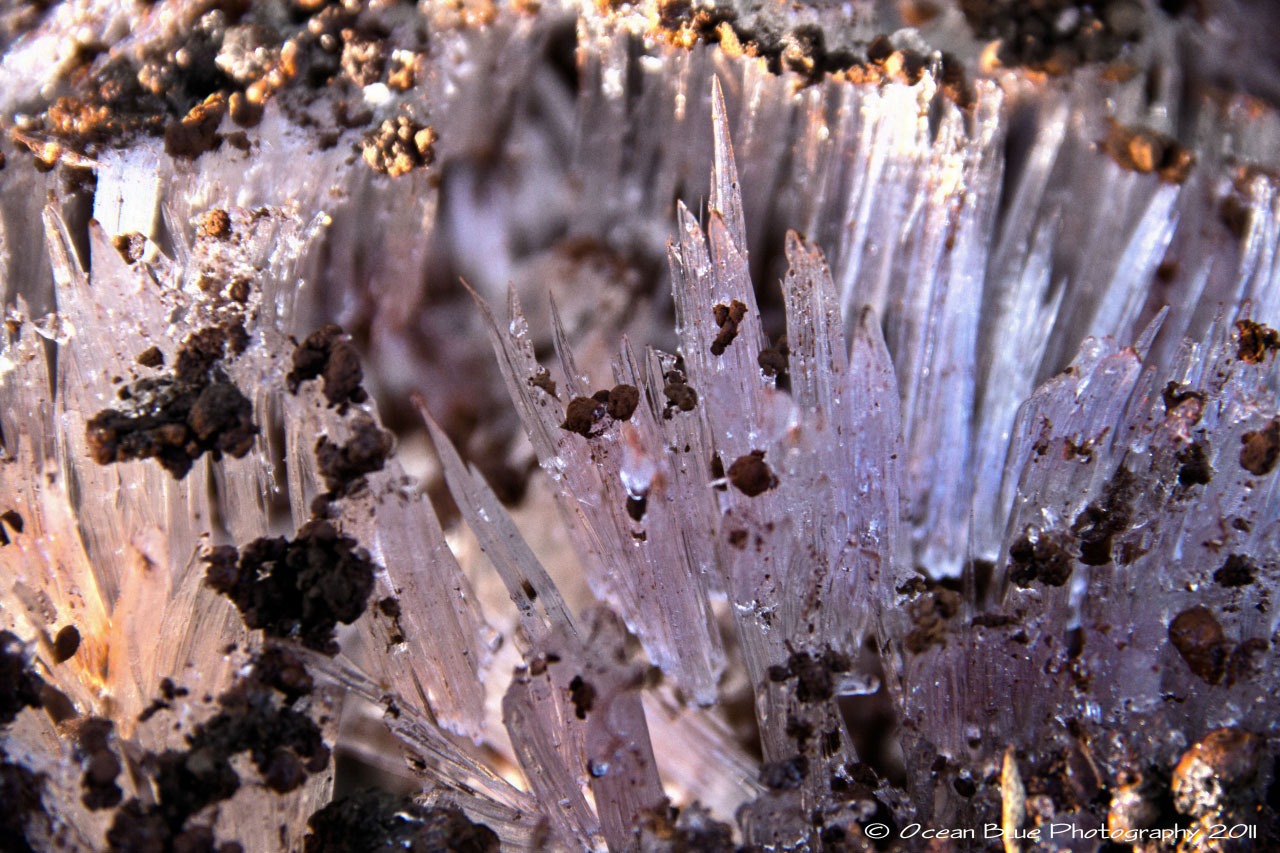 ICE