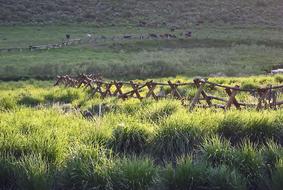 Idaho fence